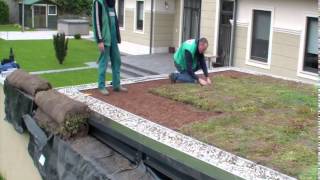 ArchiGreen® Ltd - Building an extensive green roof in a couple of hours