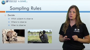 Methods of sampling animal behavior