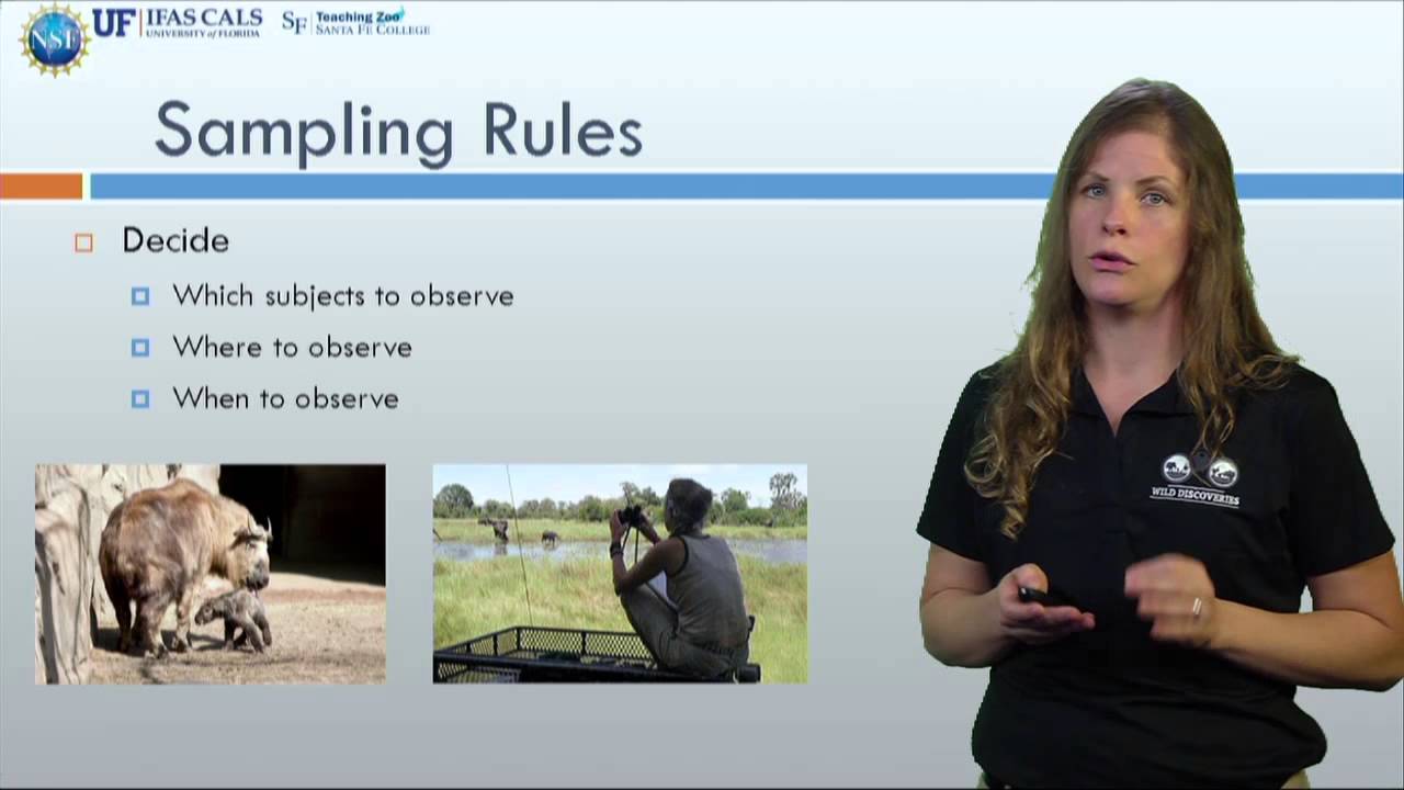 Methods Of Sampling Animal Behavior Youtube