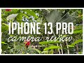 Iphone 13 Pro - Camera review (Worth the hype?)
