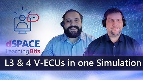 Combining Level 3 and 4 Virtual ECUs in One Simulation