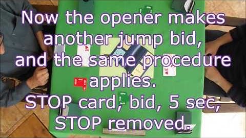How to play Bridge no experience needed #11