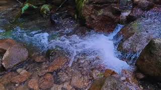 Flowing Serenity: River Sounds for Stress & Pain Relief