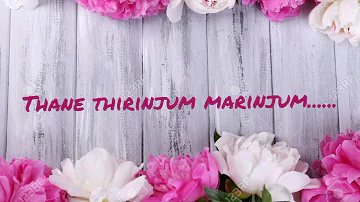 Thane thirinjum marinjum... (താനെ തിരിഞ്ഞും മറിഞ്ഞും...)