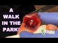 WALK IN THE PARK (WITH BLOOD)!!!