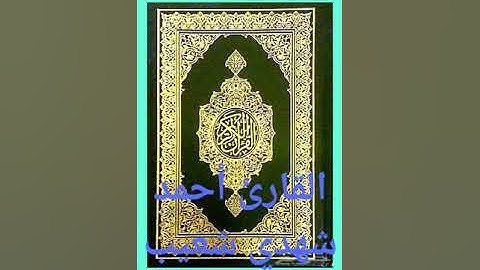 سورة التكوير كاملة القارئ أحمد شهدي شعيب
