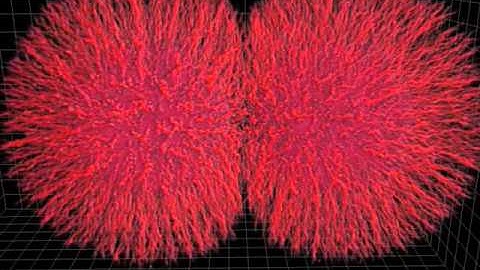 Tumor spheroids simulation (CSElab ETHZ)