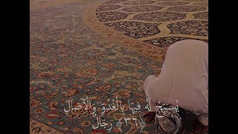 عبد الرحمن مسعد ايات من سورة النور