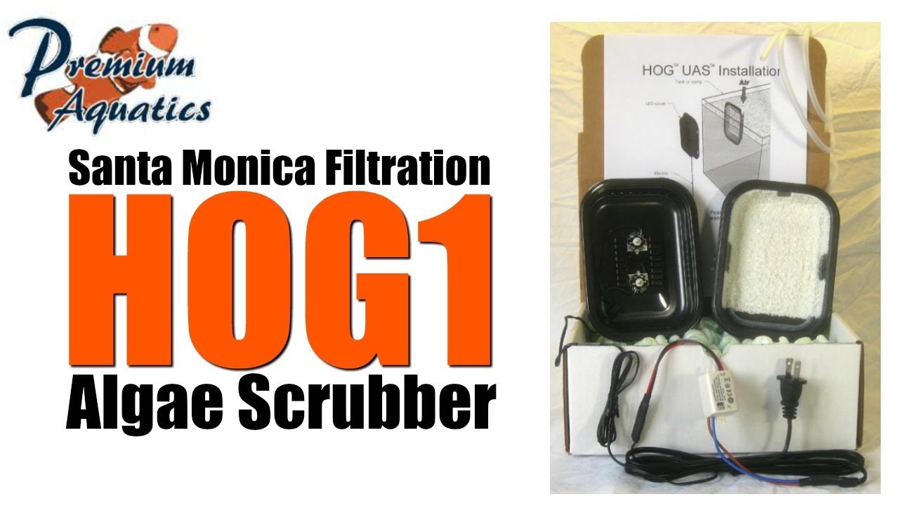 Santa Monica Filtration HOG1 Algae Scrubber