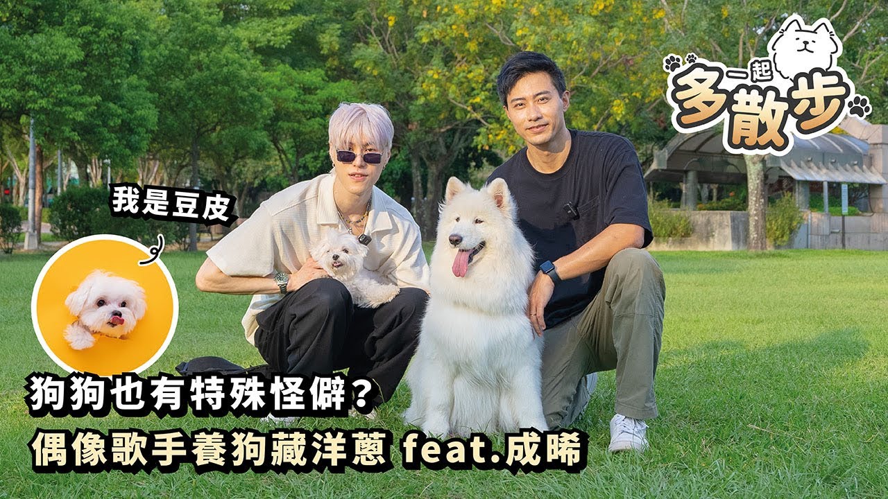 『一起多散步』狗狗也有特殊怪僻？偶像歌手養狗藏洋蔥 feat.成晞Chance(薩摩耶多比Dobby is free)