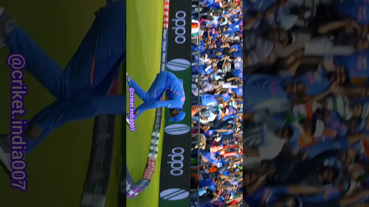 Jadeja fielding Status🥵|| #shorts #viral #rockstar #viratkohli #youtubeshorts