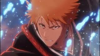 BLEACH ENDING 30