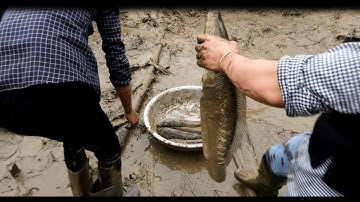 tát ao lâu năm - phần 1 bắt được cá khủng