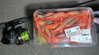 80円の半額甘エビで夜釣りをしてみると・・・