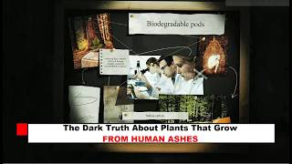 The Plant That Grows from Human Ashes — And Feeds on Us