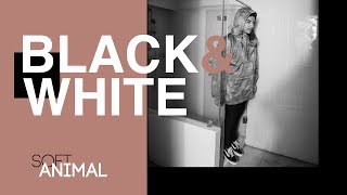 SoftAnimal - Black & White | Official Lyric Video screenshot 3