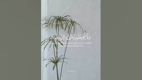 آية الكرسي || القارئ سليمان الشبيبي