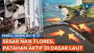 Understanding the Flores Back Arc Thrust That Triggered Today's M 7.7 NTT Earthquake