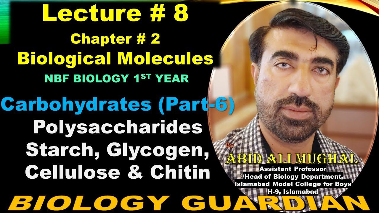 Polysaccharides | Starch | Glycogen | Cellulose | Chitin | Lecture 8 Ch 2 NBF Biology-11 Urdu/Hindi
