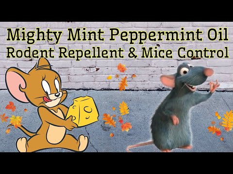 Mighty Mint Peppermint