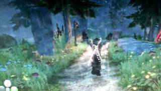Funny Fable 2 glitch Jesus walk lol!