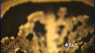 Man who stole exotic pythons plead guilty