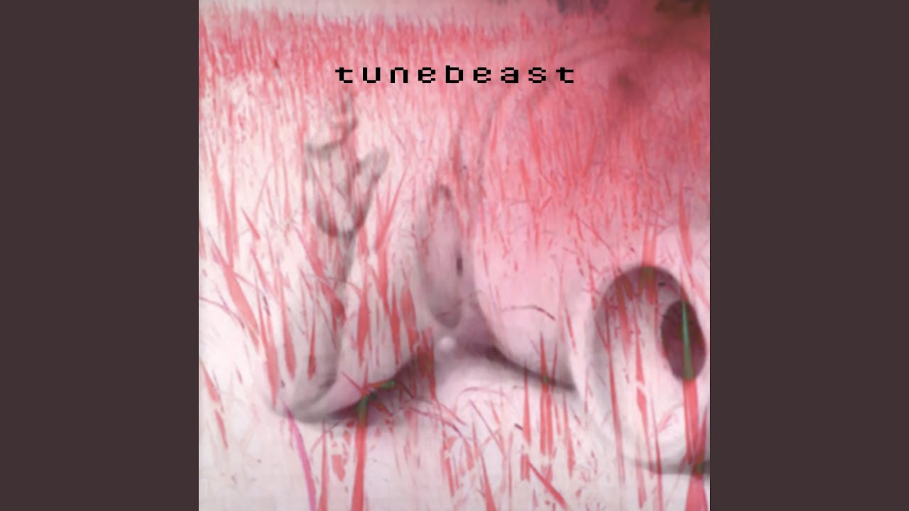 Don`t cry for the angel