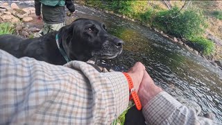 A 1st Salmon to Daniel on the River Alness 21/08/2026