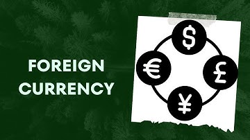 Foreign Currency in SAP FI