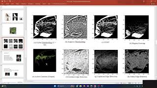 Unit 4-1: Installation of OpenCV to Contrast Stretching  | Computer Vision and Image Processing