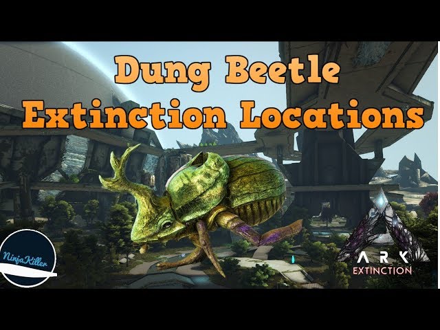Where to find Dung Beetles in ARK: Extinction