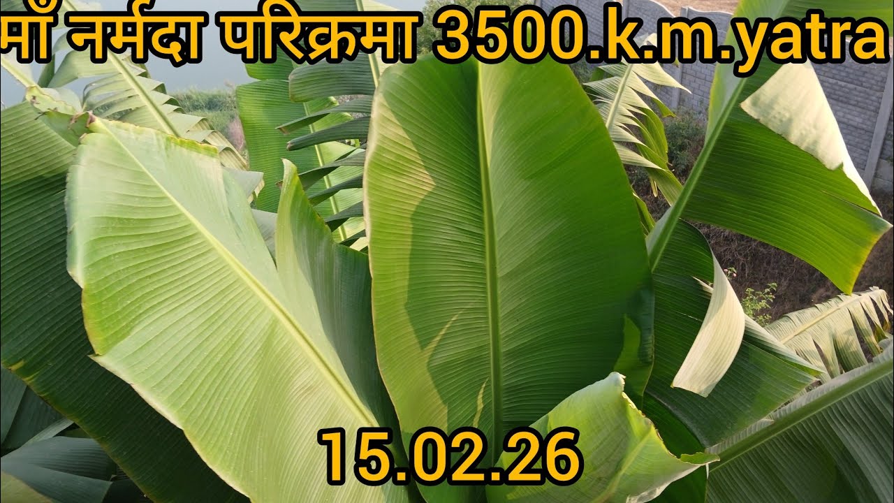 Khambhat से चल कर gaghrola तक narmade her 