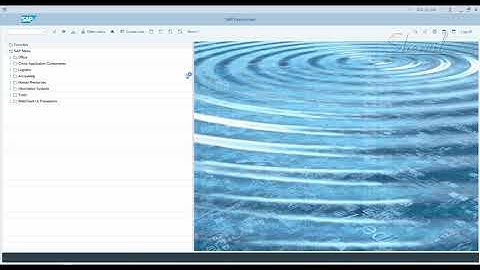 4. SAP GRC - EAM - Parameters