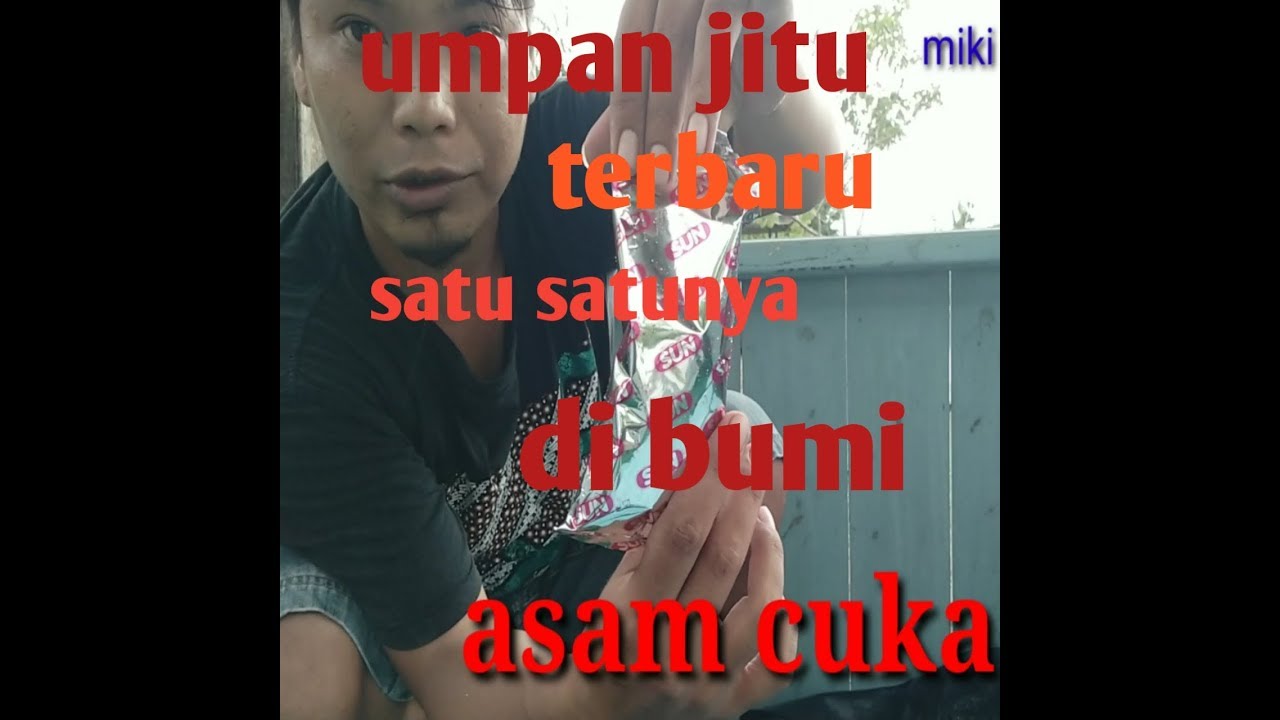 Umpan jitu || ikan bawal Babon || terbaru satu satunya di bumi
