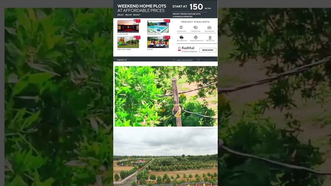 Dream Plot –  Live Better! 