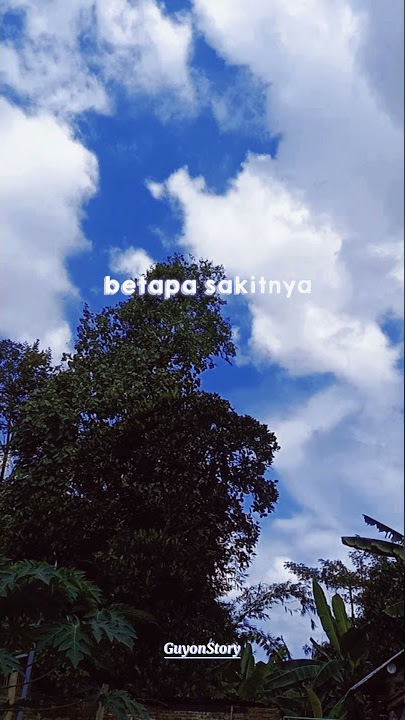 StoryWA Lagu DJ Tak ingin lagi rasanya ku bercinta