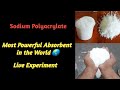 Sodium Polyacrylate World Most Powerful Absorbent Live Experiment