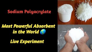 Sodium Polyacrylate World Most Powerful Absorbent Live Experiment