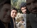 Murshid ay photo pichly maheny #viralvideo #shortsfeed