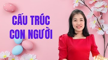 Cấu Trúc Con Người | Hà Thị Loan