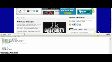 Learn How Fire Bug Can Help You