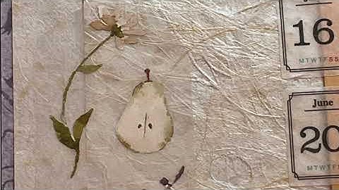 #2022CWP48 Margarete Miller Collage Challenge