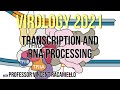 Virology Lectures 2021 #7: Transcription and RNA Processing