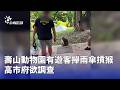 動物保護與生態危機：壽山獼猴遭遊客攻擊、珊瑚白化