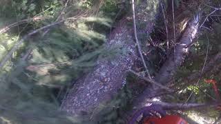 Limbing and bucking