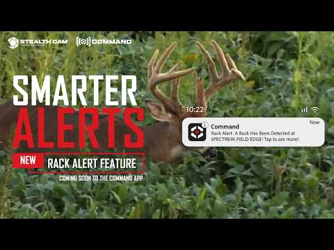 NEW Rack Alert Feature | Smarter Buck Detection with Command AI