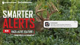 NEW Rack Alert Feature | Smarter Buck Detection with Command AI
