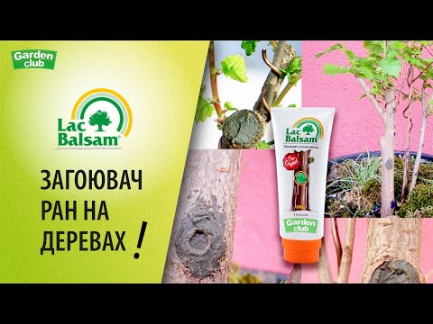 Садова замазка Lac Balsam (Лак Бальзам) 200 г (Garden Club) — «Штучна кора» для ідеального здоров’я дерев, видео 1