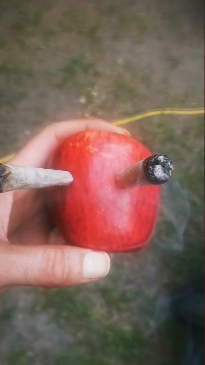 Double Spliff Apple Bong #shorts. Weed    Marijuana Ganja