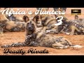 Africa S Hunters Deadly Rivals Nature Documentary 